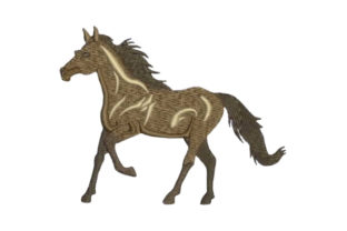 Horse Profile Embroidery Design
